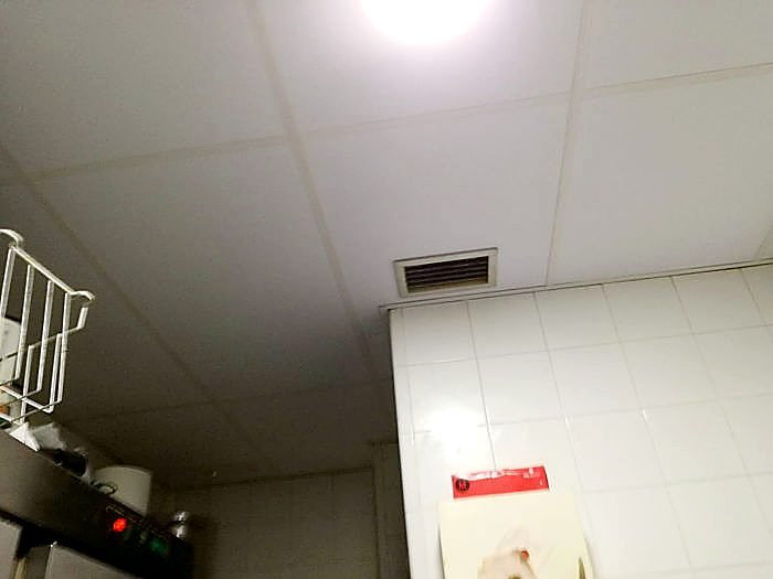 INSTALACIÃ“N DE TECHO DESMONTABLE DE PLACAS DE VINILO